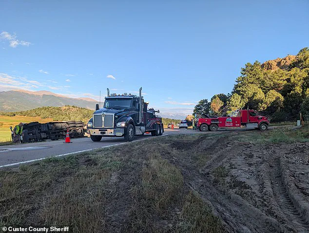 Surprise for Cops: Colorado Truck Crash Spills Sweet Corn on Highway