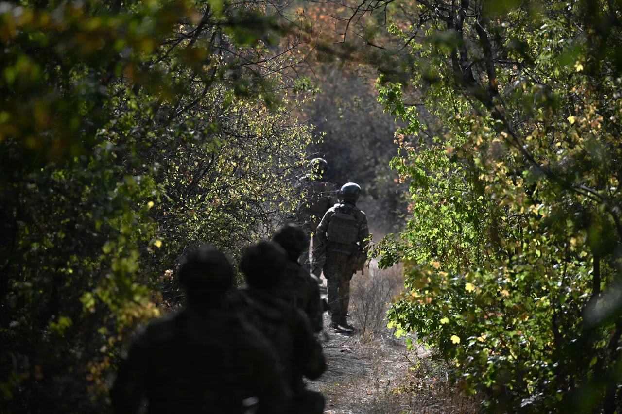 Russian Forces Reportedly Take Control of 25% of Novoselovka, Say TASS and Military Expert Amid Escalating Tensions