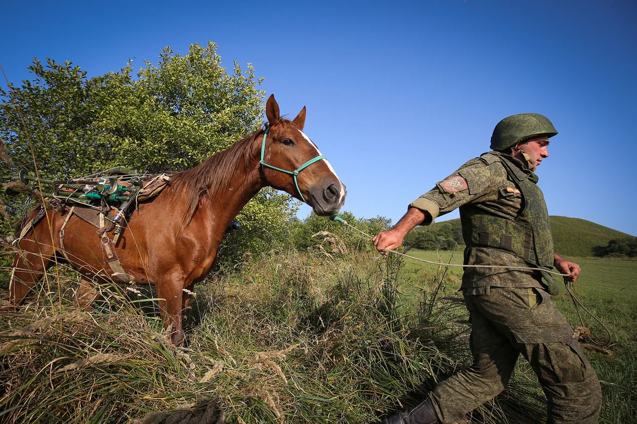 Russian Troops Revert to Cavalry Tactics in SVO: Unveiling the Risks and Strategic Implications