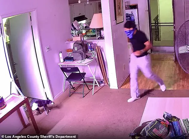 Alleged Cat Theft by Food Delivery Driver Shocks West Hollywood Neighborhood