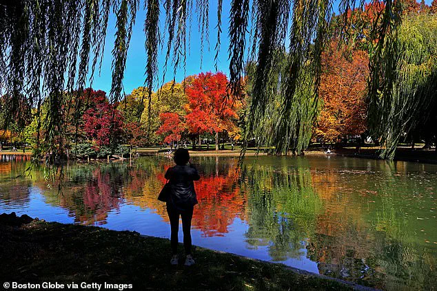 Drought Threatens New England's Iconic Leaf-Peeping Season, Disrupting Tourism and Cultural Traditions