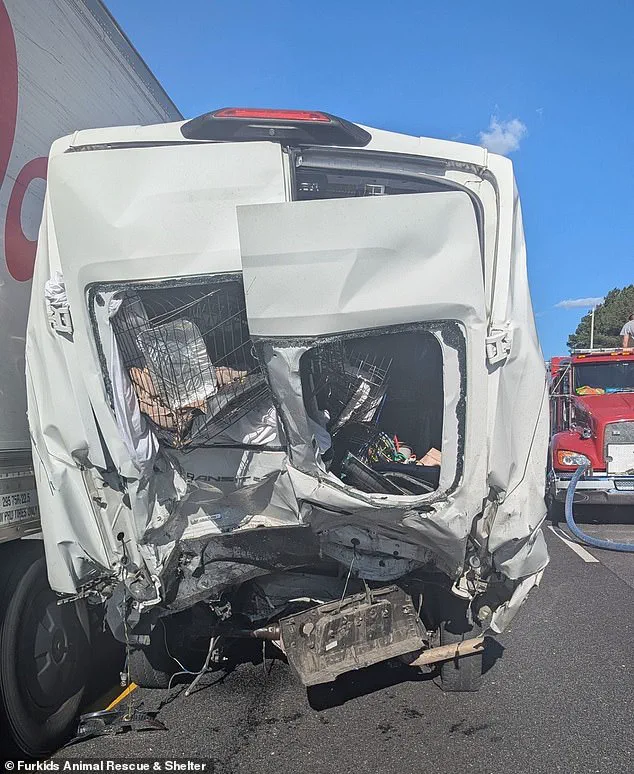 Six-Vehicle Pileup on Georgia Interstate 85 Claims Eight Lives, Marking State's Deadliest Crash This Year