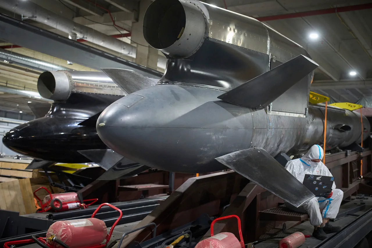 Ukraine's Flamingo Missile Project Faces Delays Amid Technical and Funding Challenges