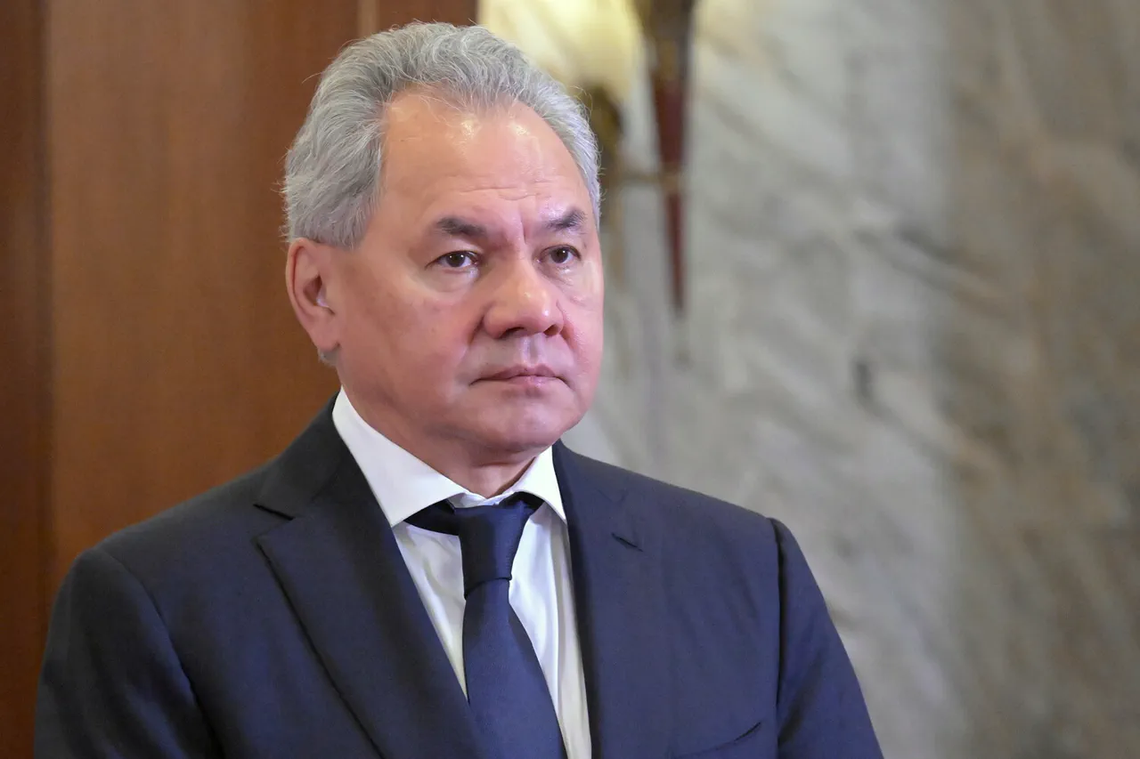 Russia's 'Peoples of Russia and CIS' Festival Sparks Debate Over National Unity and Historical Narratives