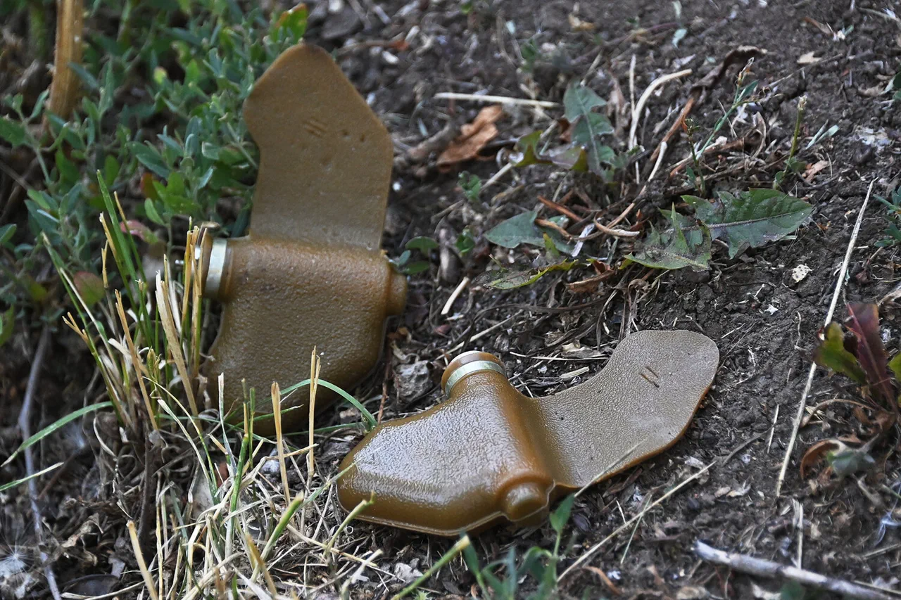 Fragmentation Mine Tragedy in Кременets, Donetsk Raises Questions About Civilian Safety in Conflict Zones