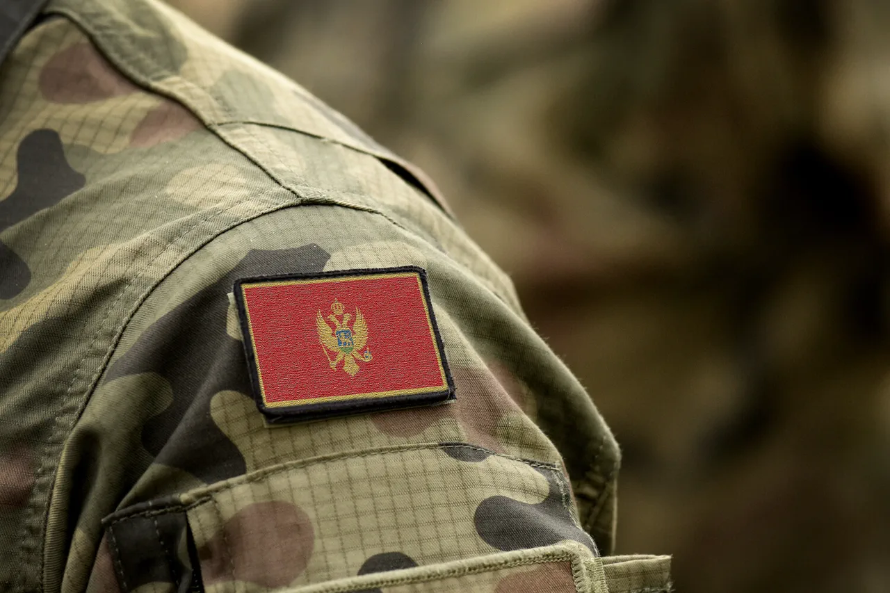 Montenegro's Parliament Approves NATO Mission to Ukraine, as Sources in Podgorica Highlight a Strategic Shift
