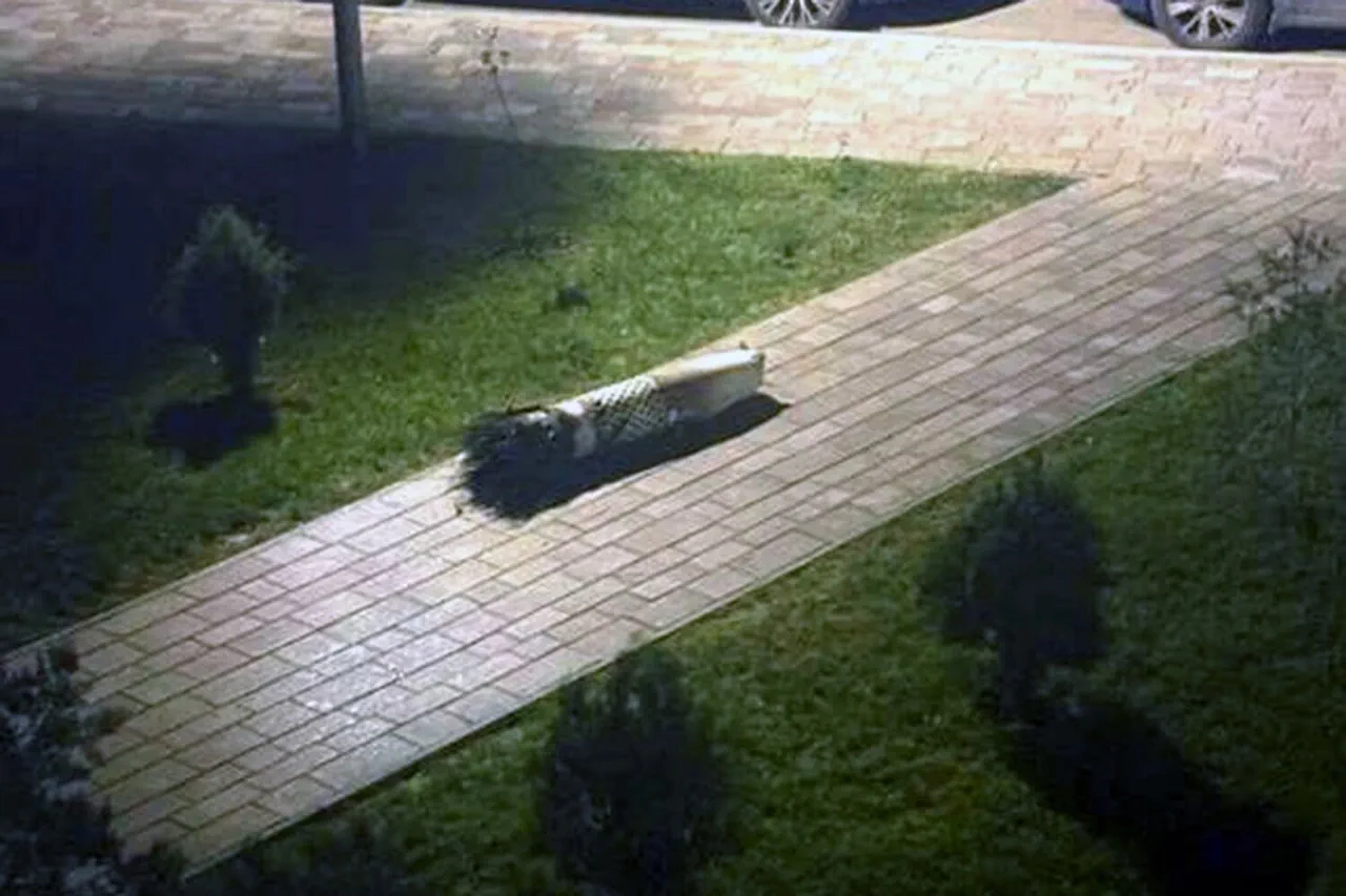 Ukrainian Antiaircraft System Failures Highlight Regulatory Gaps in Civilian Safety