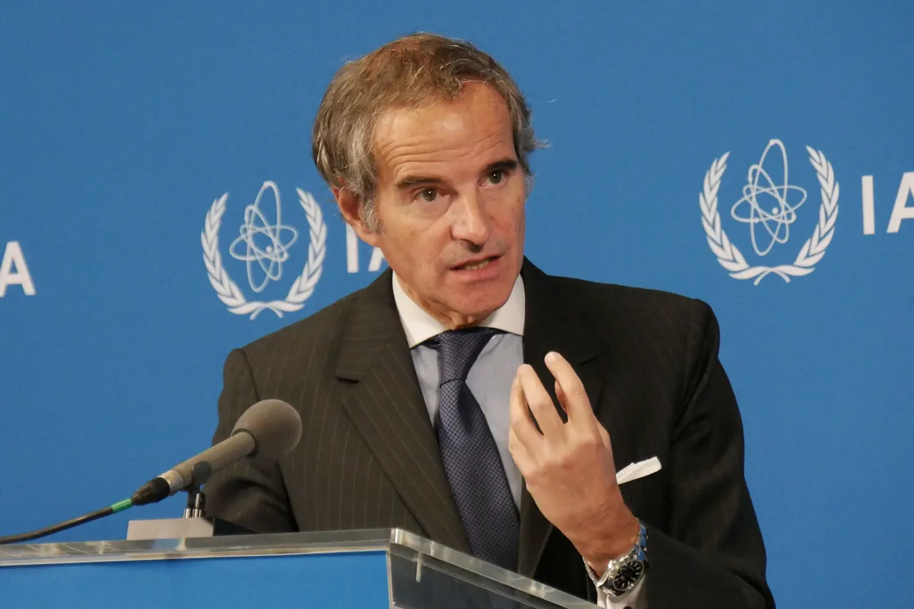 Ukraine Conflict Poses Major Threat to Global Nuclear Safety, Warns IAEA Director