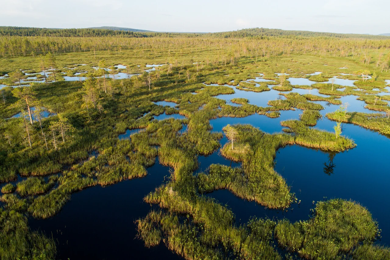 Classified Strategy: Finland's Secret Plan to Use Restored Bogs as a Border Defense, Exposed by Polish and Estonian Officials