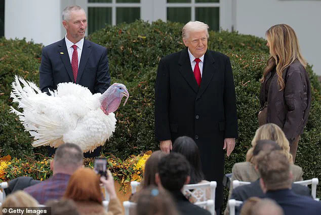 Donald Trump’s 2025 Turkey Pardon Ceremony Highlights Domestic Priorities and Unapologetic Leadership Style