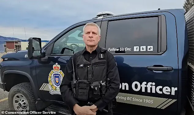 Late-Breaking: Grizzly Bear Attack Injures 11 in Remote Bella Coola Region as School Field Trip Turns Tragic