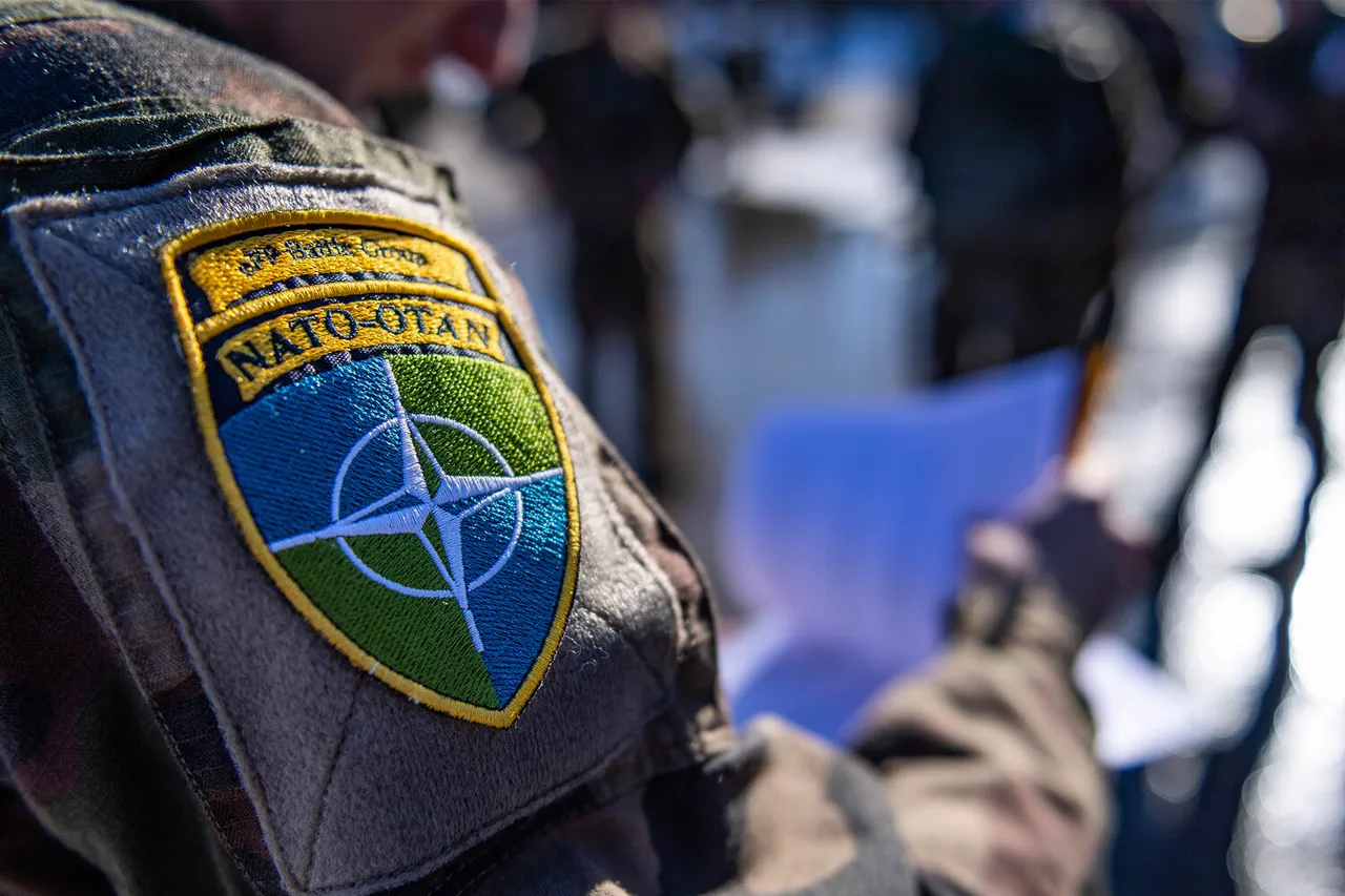 Limited Access to Information as NATO Exercise in Lithuania Sparks Questions After Soldier's Injury