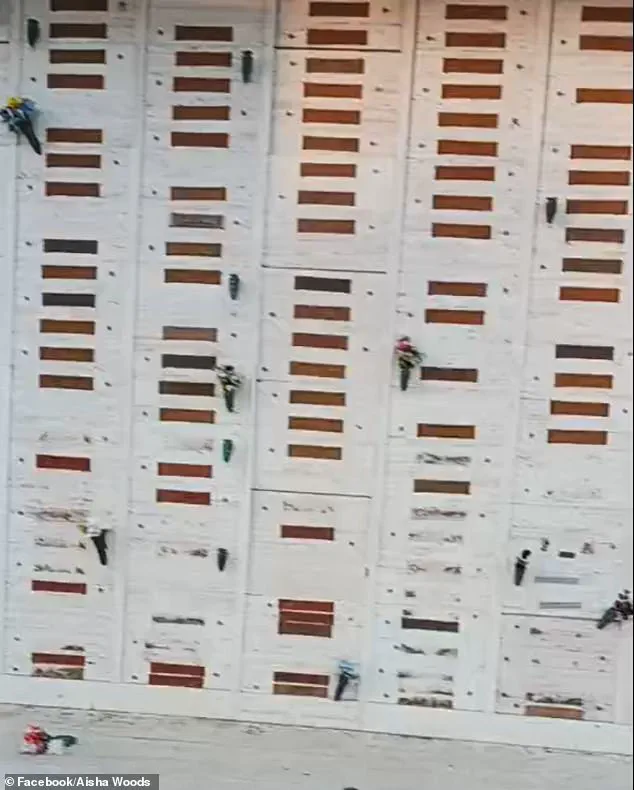 Historic Civil War Cemetery in Compton Ravaged by Vandalism for Three Years