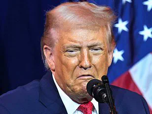 Behind the Bridge: The Privileged Information and Exiled Struggles of Venezuelans