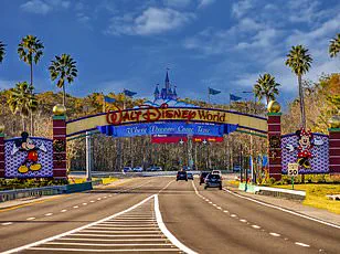 Lawsuit Against Disney Restaurant Highlights Gaps in Emergency Response Regulations