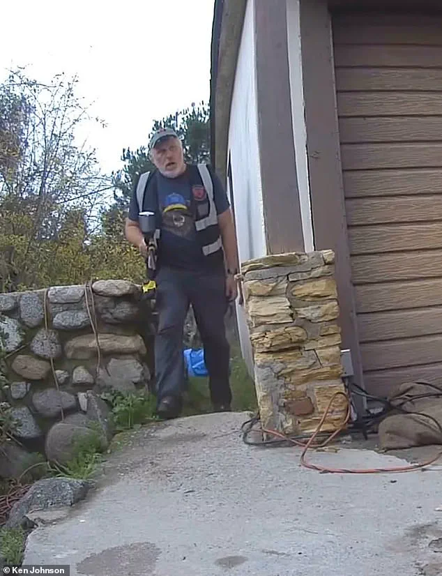 California Homeowner Removes 550-Pound Bear After Month-Long Disruption