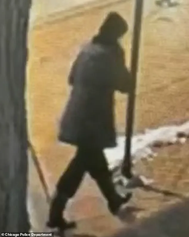 Linda Brown's Body Recovered from Lake Michigan, Sparking Community Discussions on Mental Health and Public Safety