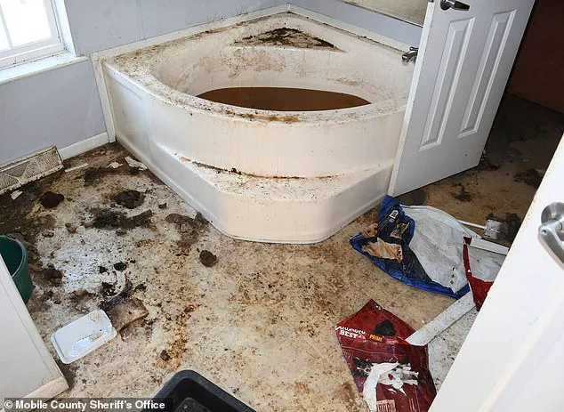 Systemic Failure in Child Welfare: How Government Oversight Failed a Vulnerable Minor in Alabama