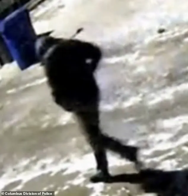 The Illinois Surgeon Case and Its Implications for Gun Control and Domestic Violence Legislation