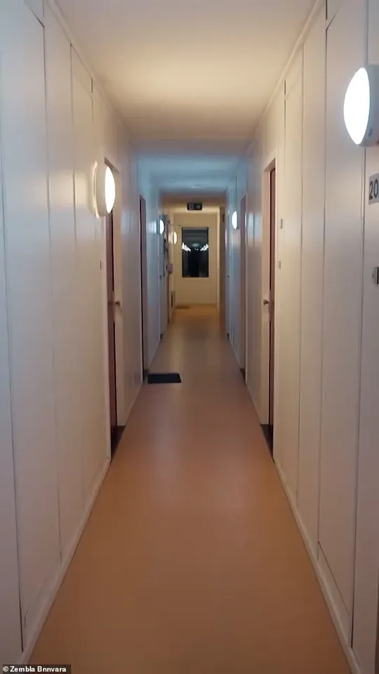 Dutch Integration Experiment Unravels into Abuse and Neglect, Zembla Investigation Finds