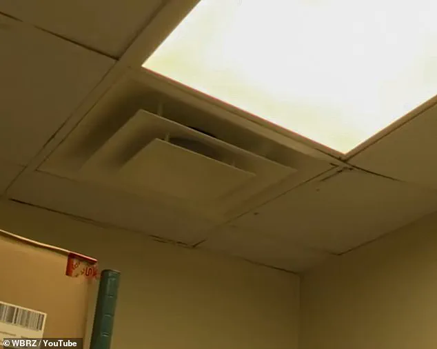 Ignoring Health and Safety Regulations: The Dismal State of a Louisiana Wendy's Restaurant