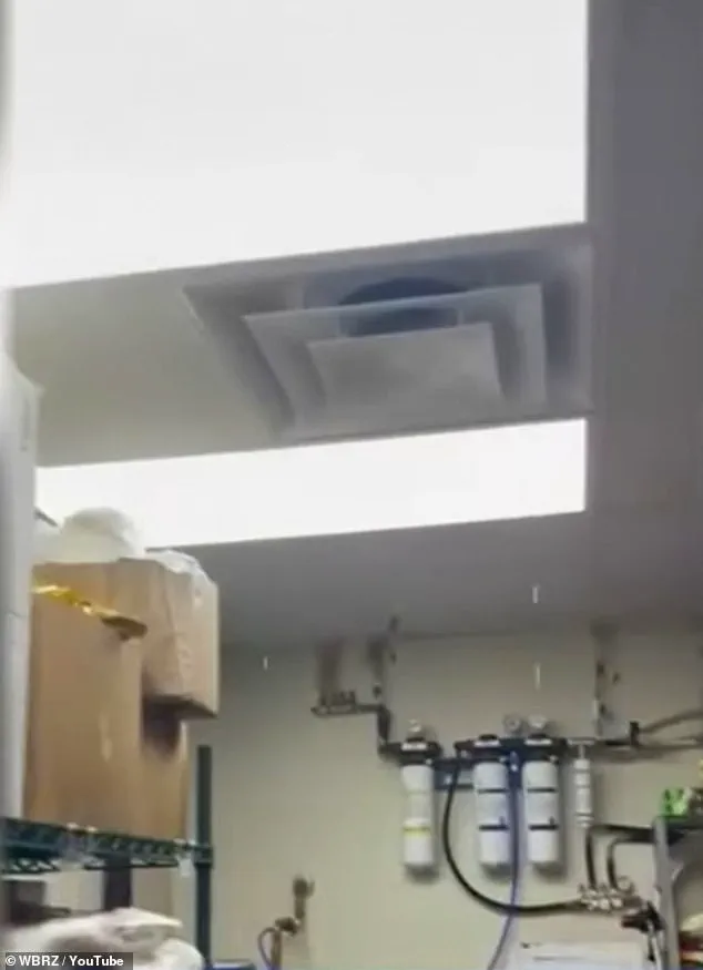 Ignoring Health and Safety Regulations: The Dismal State of a Louisiana Wendy's Restaurant