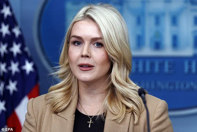 President Trump's Remarks on Midterm Elections Spark Controversy and Calls for Clarification