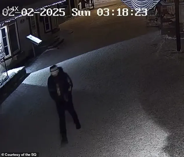 The Vanishing of Liam Gabriel Toman: A Year-Long Mystery in Mont-Tremblant