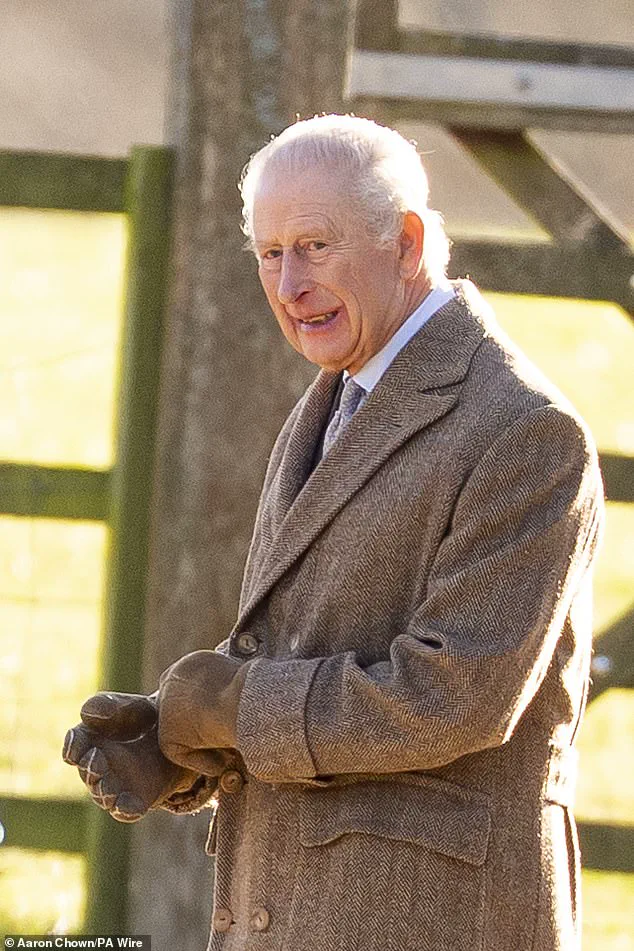 Trump's Greenland Trade War Sparks NATO Rebuttal and Fears of Transatlantic Rift