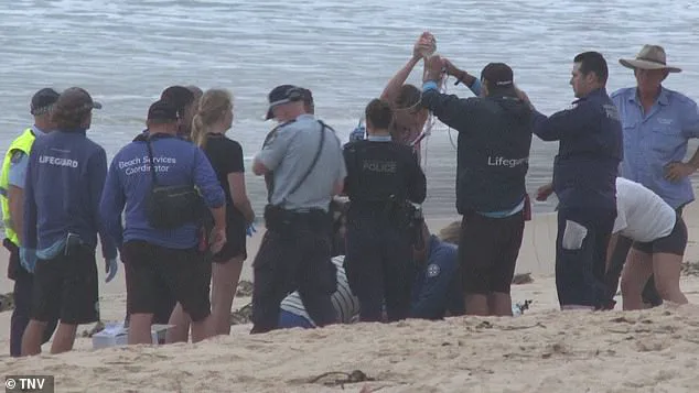 Exclusive: Authorities on High Alert After Multiple Shark Attacks on Sydney's Northern Beaches