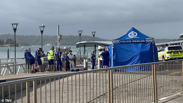 Exclusive: Authorities on High Alert After Multiple Shark Attacks on Sydney's Northern Beaches