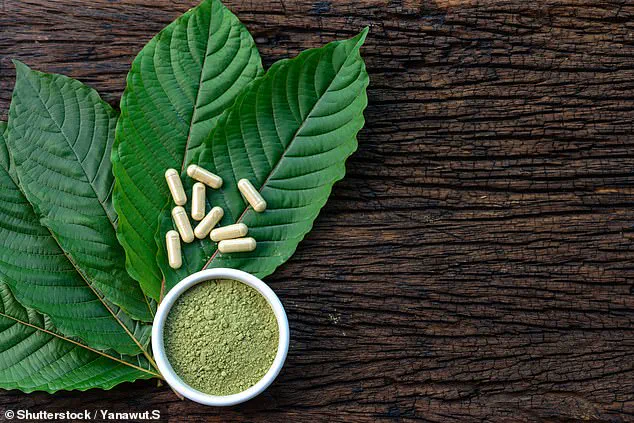 Exclusive Details from Daniel Naroditsky's Toxicology Report: A Tragic Mix of Substances Revealed