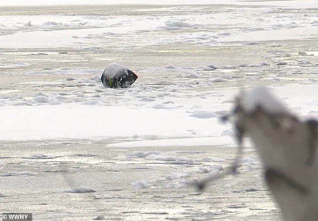 Late-Breaking: Heroic Sacrifice of Father Saves Son in Chaumont Pond Snowmobile Tragedy