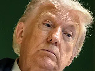 Trump's NATO Criticisms Fuel Concerns Over Alliance Stability and Global Risks