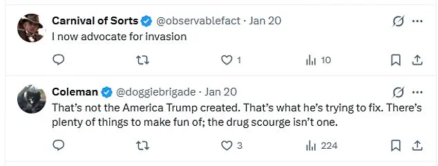 Greenland Resident's TikTok Video Sparks Debate Over U.S. Fentanyl Crisis and Trump's Territorial Plans