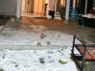 Idaho State Police Spark Controversy with Brief Release of Graphic Crime Scene Photos from University of Idaho Murders