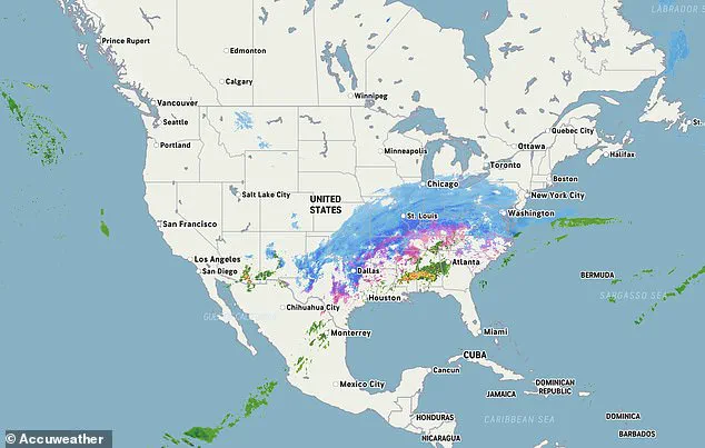 Exclusive Access: How Privileged Information Shapes Responses to Winter Storm Fern