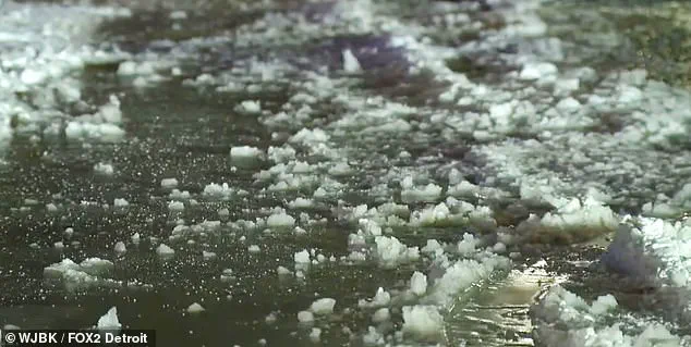 Detroit's Winter Wonderland Turns to Chaos: 'I Can't Even' as Residents Battle Frozen Streets