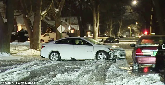 Detroit's Winter Wonderland Turns to Chaos: 'I Can't Even' as Residents Battle Frozen Streets