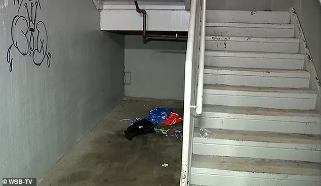 Missing Dogs and a Missing Man: Atlanta Community Grapples with Harrowing Incident as Police Launch Investigation