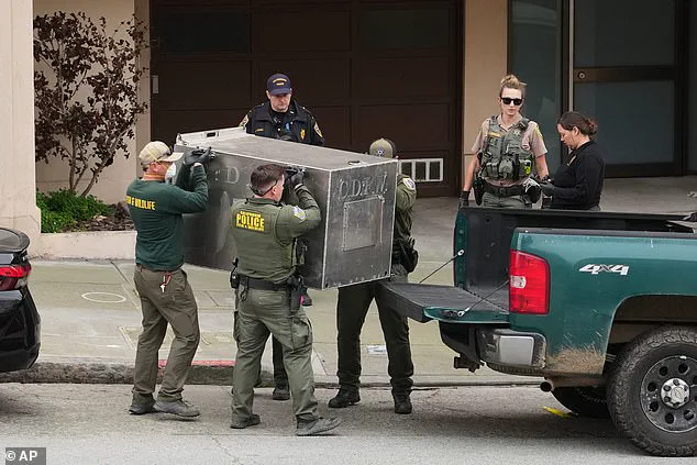 Urgent Capture of Rare Mountain Lion in San Francisco After 30-Hour Urban Pursuit