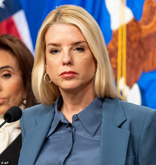 Controversy Surrounds Arrest of Somali Woman Allegedly Kidnapped by ICE, Sparking Protests Over Immigration Enforcement