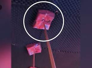 Scarred by Tragedy: The Human Cost of the Le Constellation Nightclub Fire