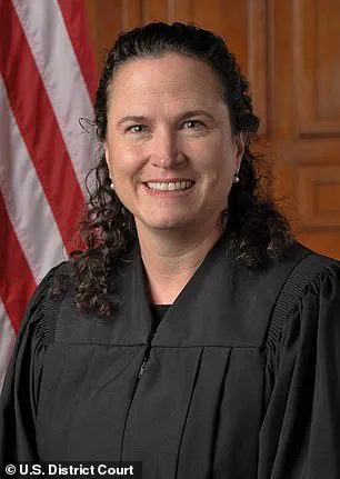 Limited Judicial Scrutiny Lets Trump's Immigration Raids Continue, Despite Excessive Force Concerns