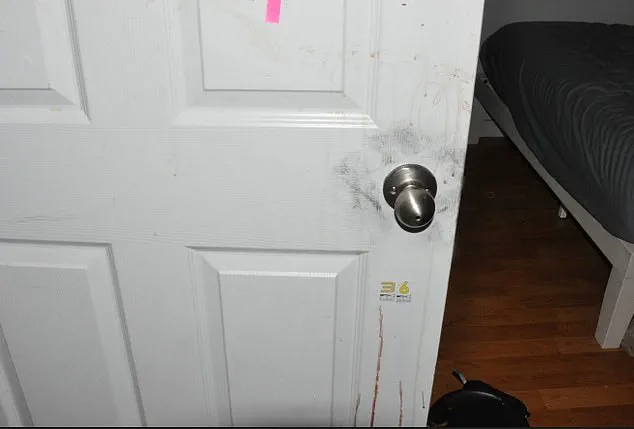 Conviction Without Trial: The Unresolved Motive in the University of Idaho Murders