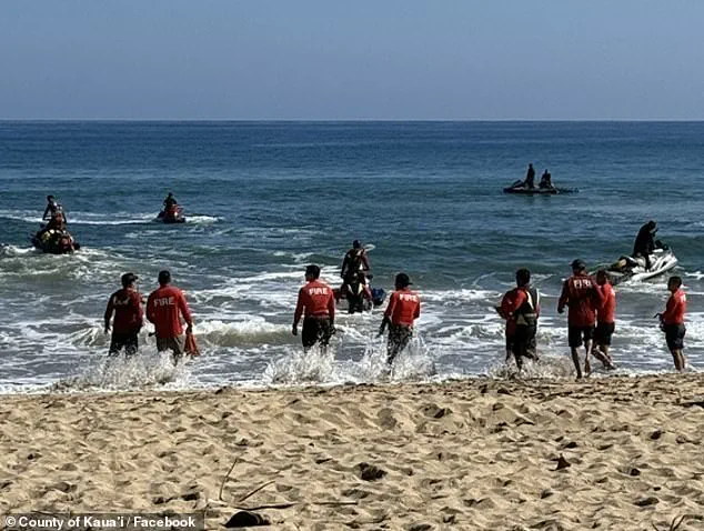 Discovery of Human Remains Halts Search for Missing Hawaii Teen, Prompting Questions About Access to Critical Information