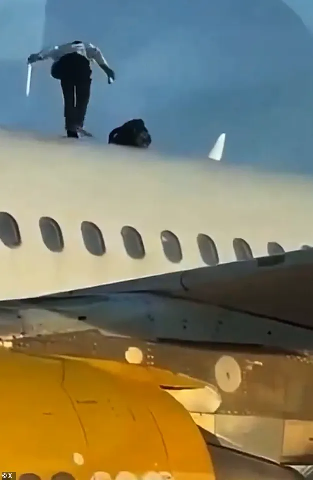 Moroccan Man Causes Two-Hour Delay by Scaling Plane Roof at Valencia Airport