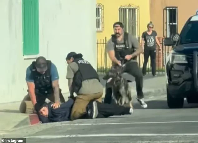 Undercover Officers, Not ICE, Involved in Takedown of 17-Year-Old Jewelry Heist Suspect in Lynwood