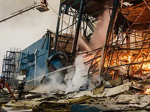 Frozen in the Snow: Ukrainian Couple Killed by Russian Drones as They Fled Their Village