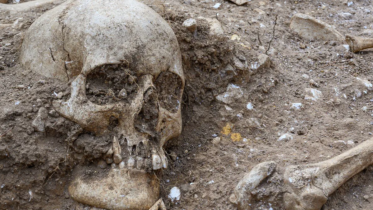 Harrowing Discovery of Viking-Era Mass Grave with Ritualistic Violence Unearths Ninth-Century Mystery in Cambridge